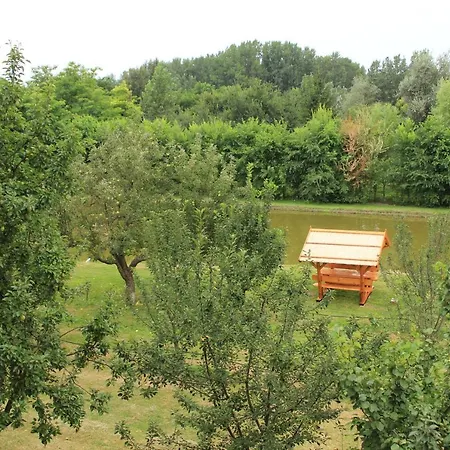 Poettyoes Tanya Csongrád