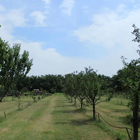 Poettyoes Tanya Csongrád