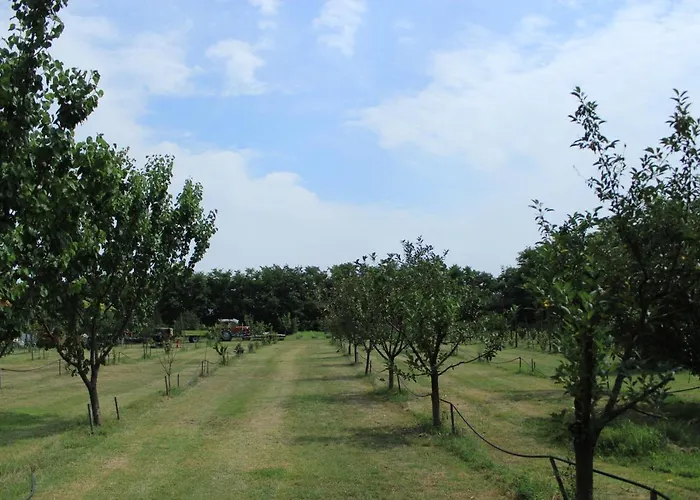 Poettyoes Tanya Csongrád