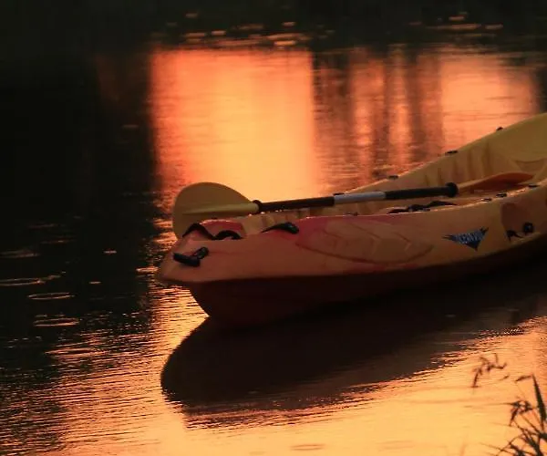 Poettyoes Tanya Csongrád